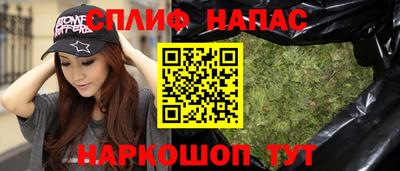 прущие грибы Малгобек