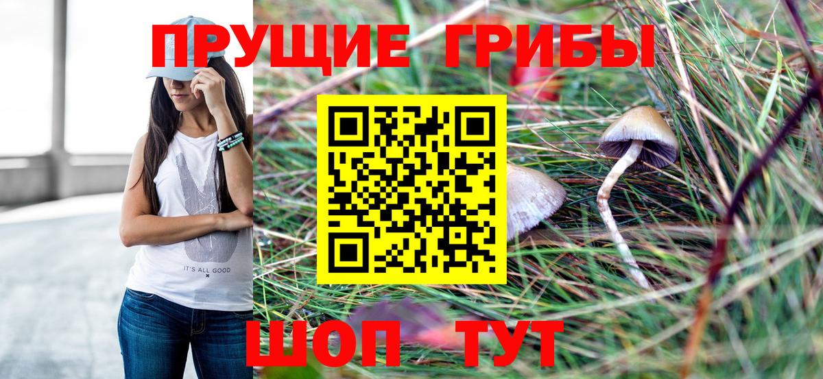 где купить   Галлюциногенные грибы GOLDEN TEACHER  Вход с VPN  Тосно 
