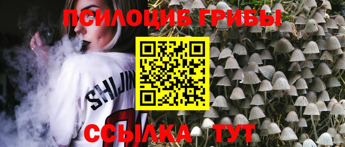 Галлюциногенные грибы Psilocybe Тосно